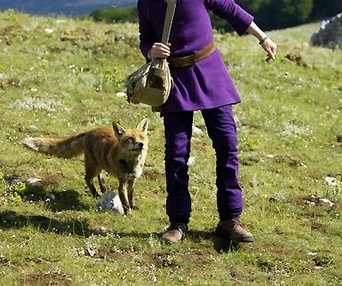 Scène du film Le renard et l'enfant