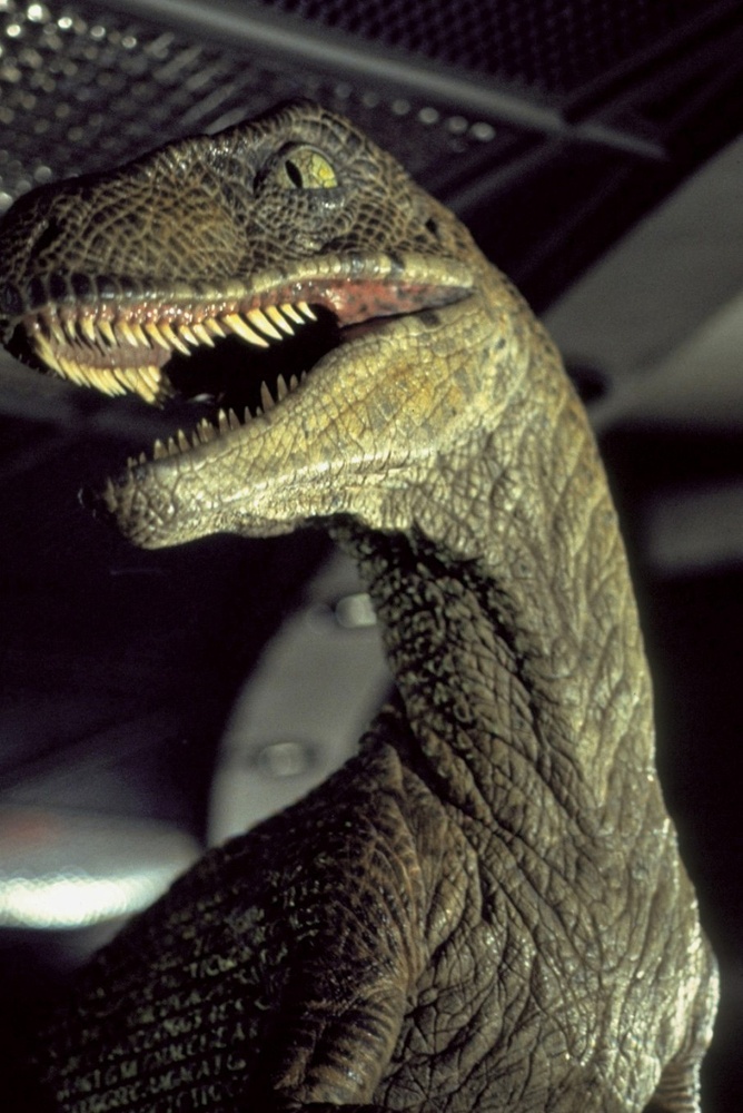 Une scène du film Jurassic Park