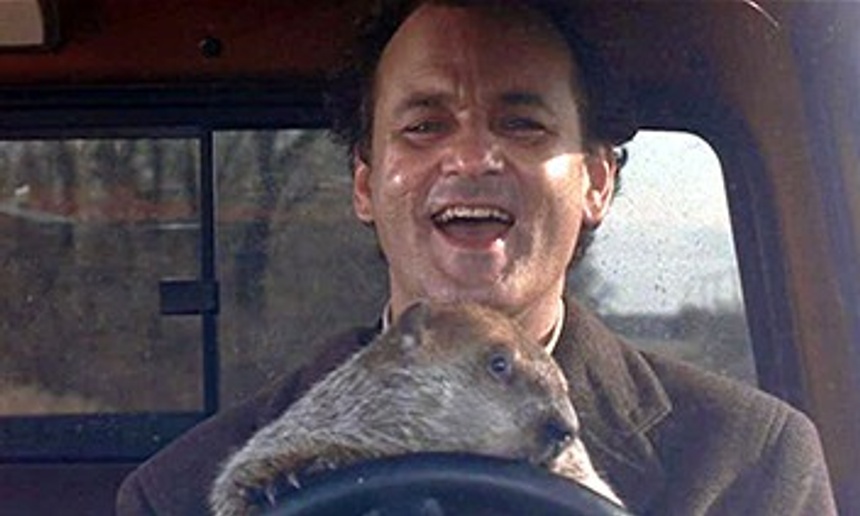 10 choses à se remémorer du classique Groundhog Day