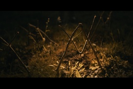 Image du film Shelby Oaks