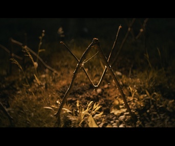 Image du film Shelby Oaks