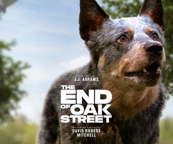 Image du film The End of Oak Street