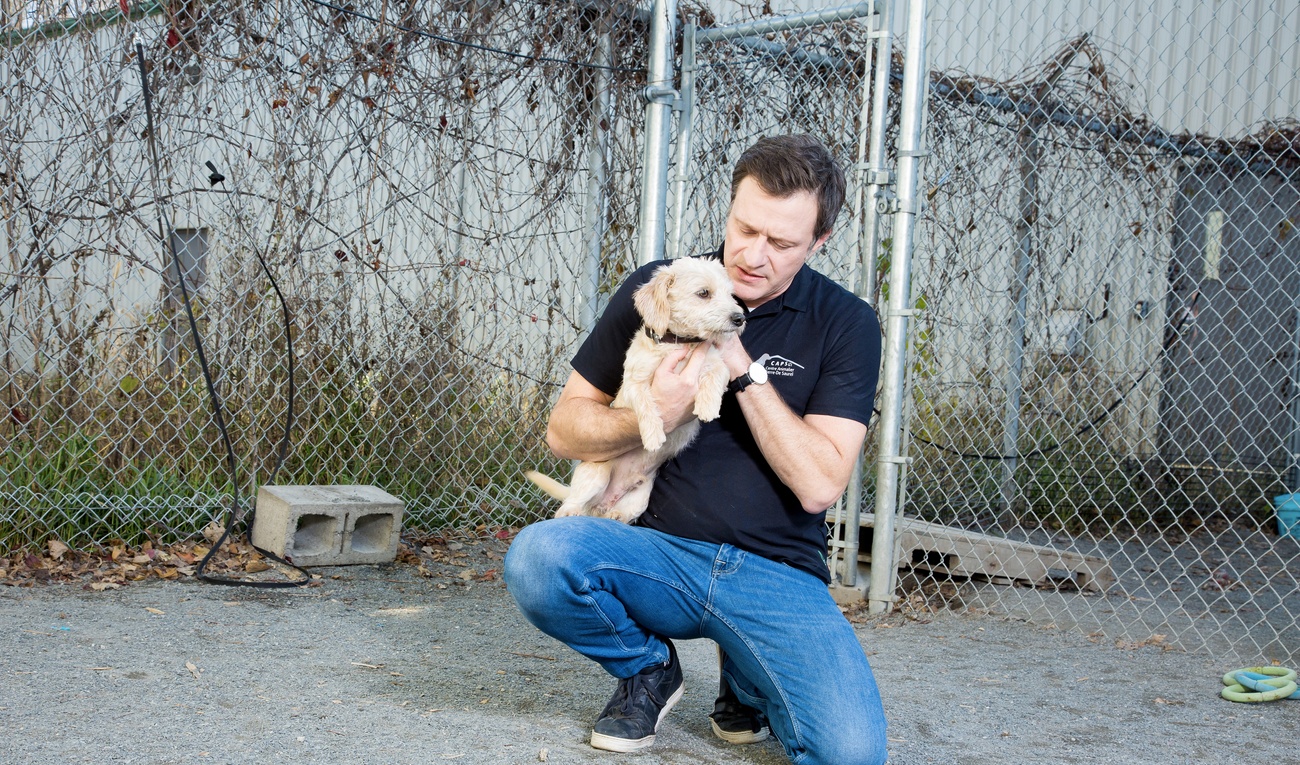 Refuge animal : Le meilleur ami du petit écran est de retour