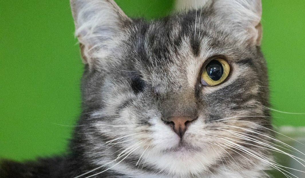 Quoi ne pas manquer à la télé cette semaine