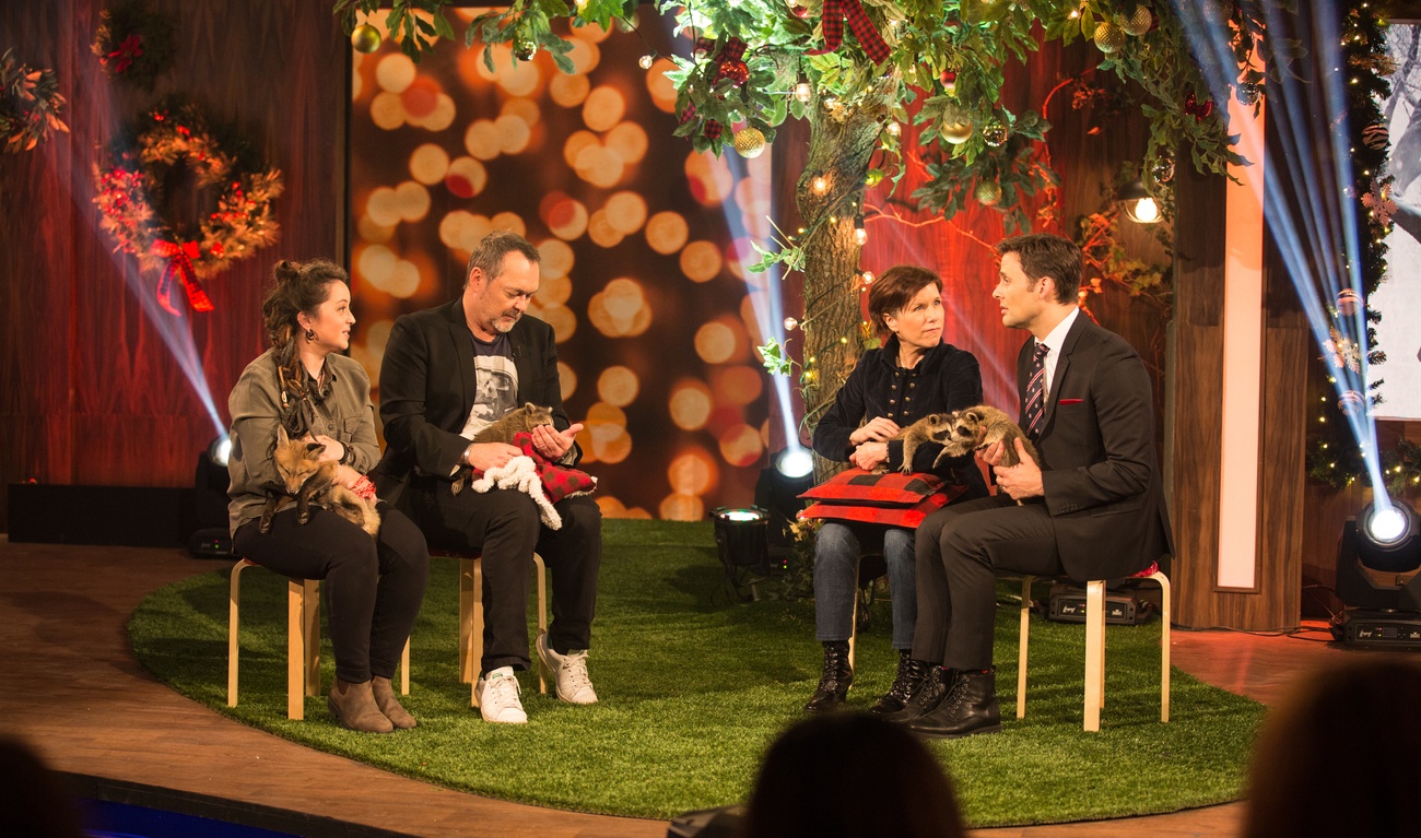 Les poilus, spécial « Noël »