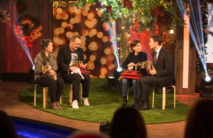 Les poilus, spécial « Noël »