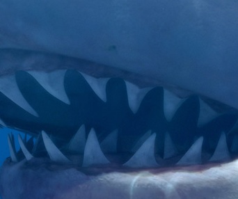 Scène du film Sea Monsters 3D