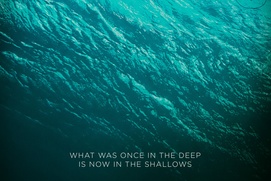 Affiche du film The Shallows Affiche du film The Shallows