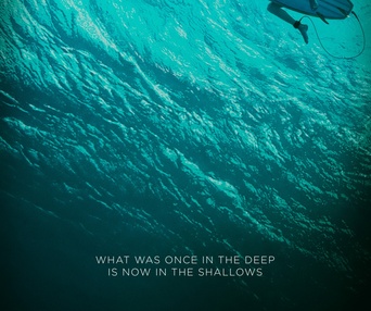 Affiche du film The Shallows