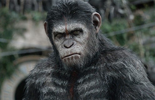 Une scène du film Dawn of the Planet of the Apes
