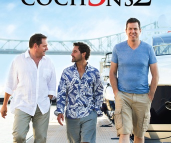 Affiche du film Les 3 p'tits cochons 2