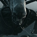 Une scène du film Alien: Covenant