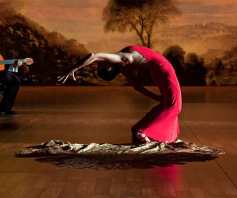 Une scène du film Flamenco Flamenco