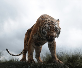 Une scène du film The Jungle Book