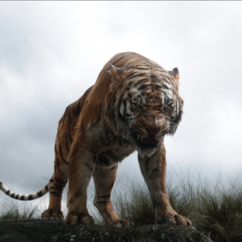 Une scène du film The Jungle Book