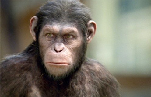 Une scène du film Rise of the Planet of the Apes