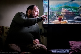 Image du film Les tortues