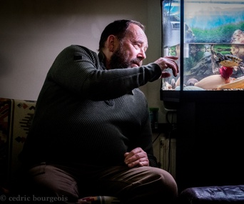 Image du film Les tortues