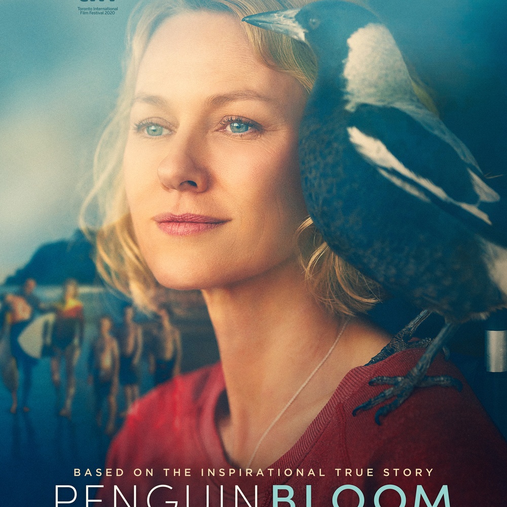 Affiche du film Penguin Bloom