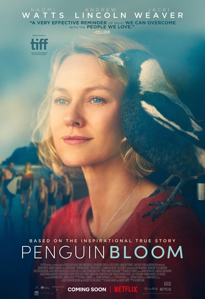 Affiche du film Penguin Bloom