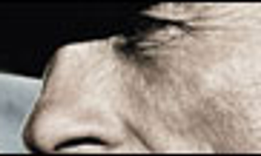 Bande-annonce et affiche d'Appaloosa