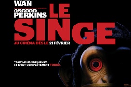 Affiche du film Le singe