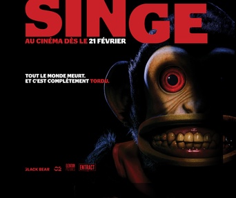 Affiche du film Le singe