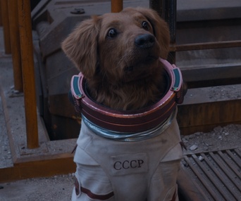 Une scène du film Guardians of the Galaxy Vol. 3