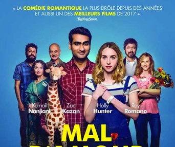 Affiche du film The Big Sick