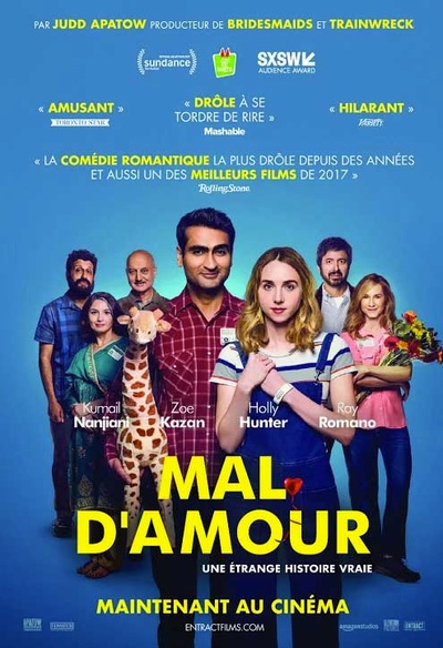 Affiche du film The Big Sick