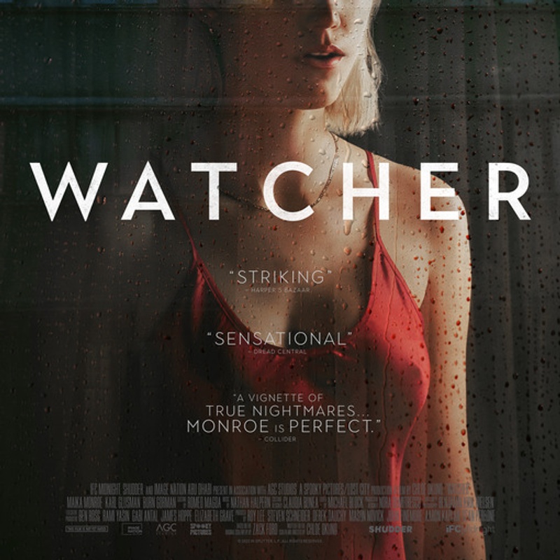Affiche du film Watcher