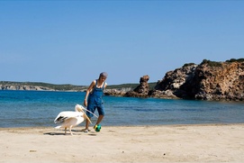 Une scène du film Nicostratos le pélican Une scène du film Nicostratos le pélican