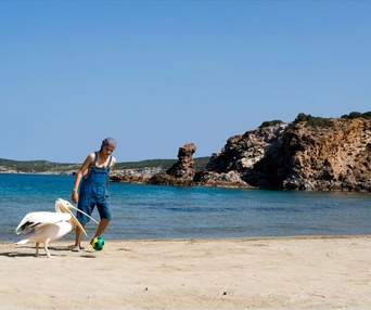 Une scène du film Nicostratos le pélican