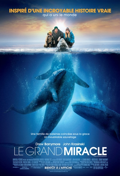 Affiche du film Le grand miracle