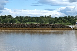 Une scène du film Amazonie, à la rencontre des gardiens et des gardiennes de la forêt Une scène du film Amazonie, à la rencontre des gardiens et des gardiennes de la forêt