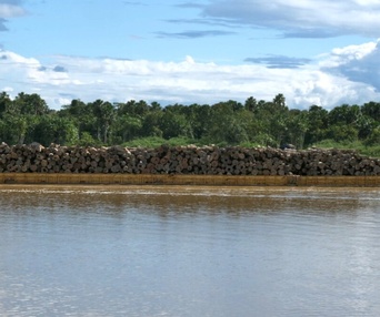 Une scène du film Amazonie, à la rencontre des gardiens et des gardiennes de la forêt