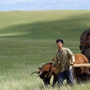 Photo de Shawn Dou