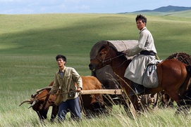 Une scène du film Wolf Totem