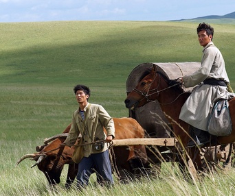 Une scène du film Wolf Totem