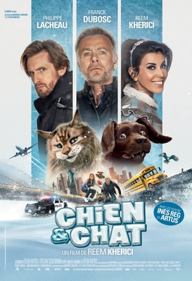 Chien et chat