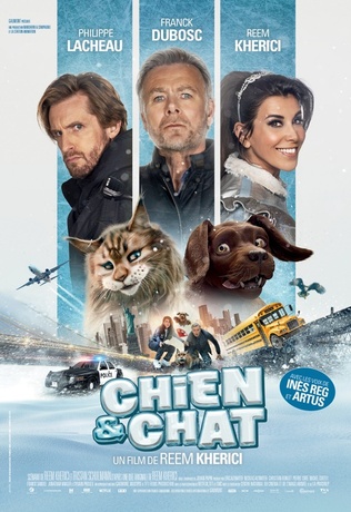 Chien et chat