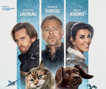 Affiche du film Chien et chat