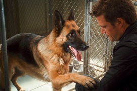 Une scène du film Cats & Dogs: The Revenge of Kitty Galore Une scène du film Cats & Dogs: The Revenge of Kitty Galore