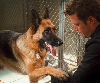 Une scène du film Cats & Dogs: The Revenge of Kitty Galore