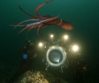 Sous les mers du monde en 3D