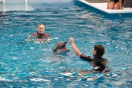 Une scène du film Dolphin Tale 2