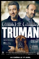 Affiche du film Truman