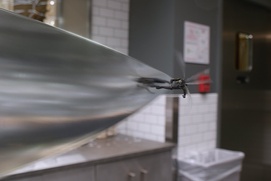 Une scène du film Ant-Man and the Wasp