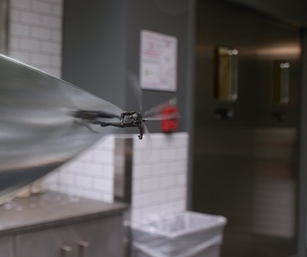 Une scène du film Ant-Man and the Wasp