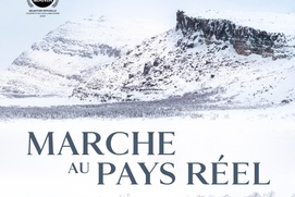 Affiche du film Marche au pays réel